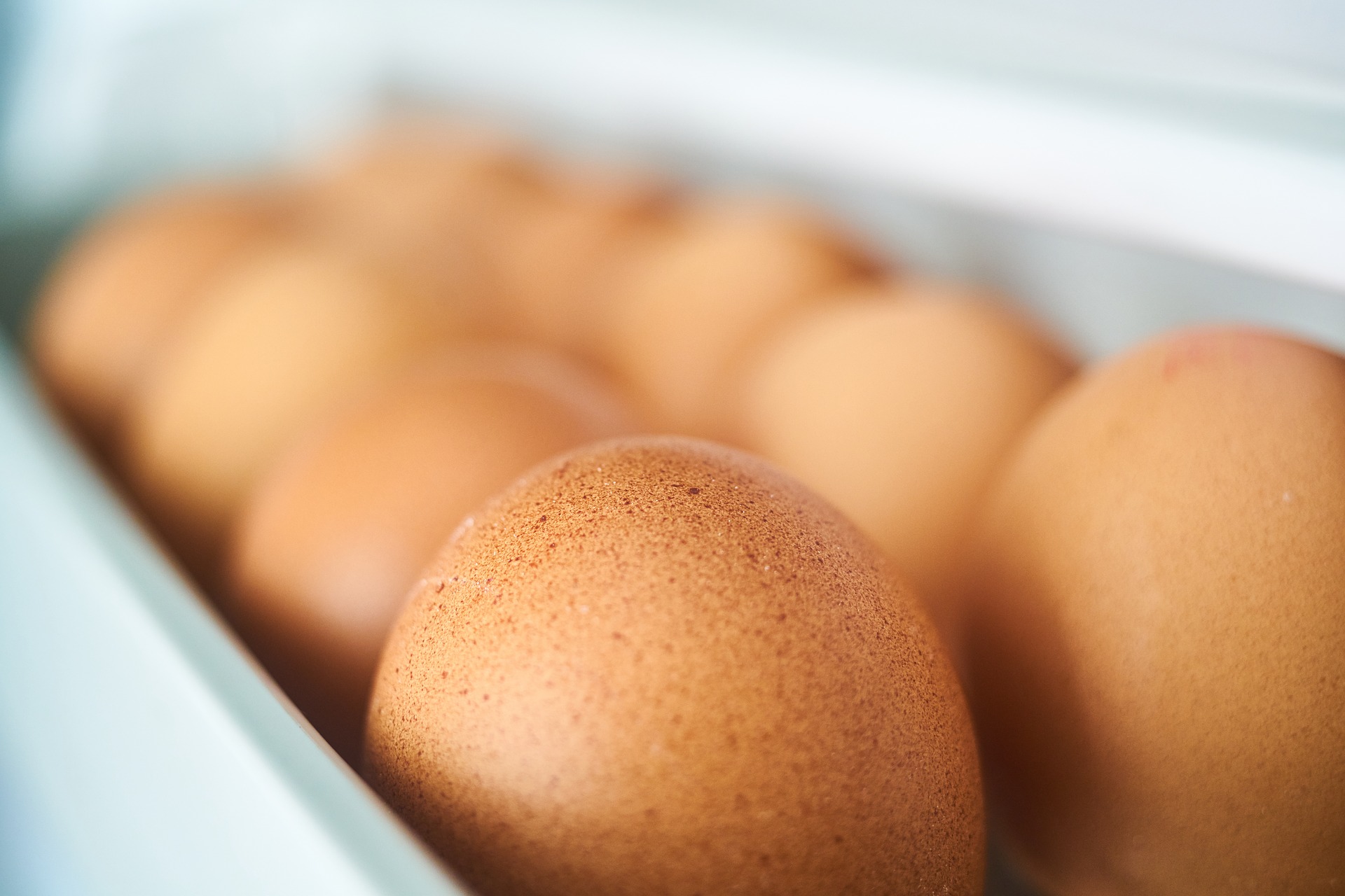 What came first? The chicken or the egg?